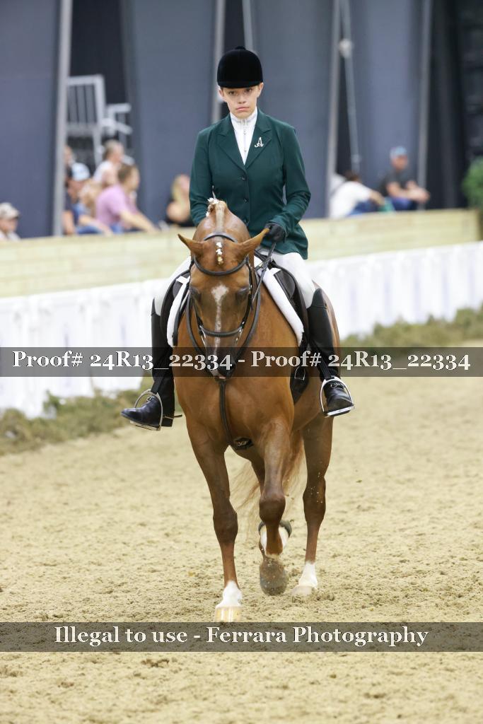 Proof 24R13_22334