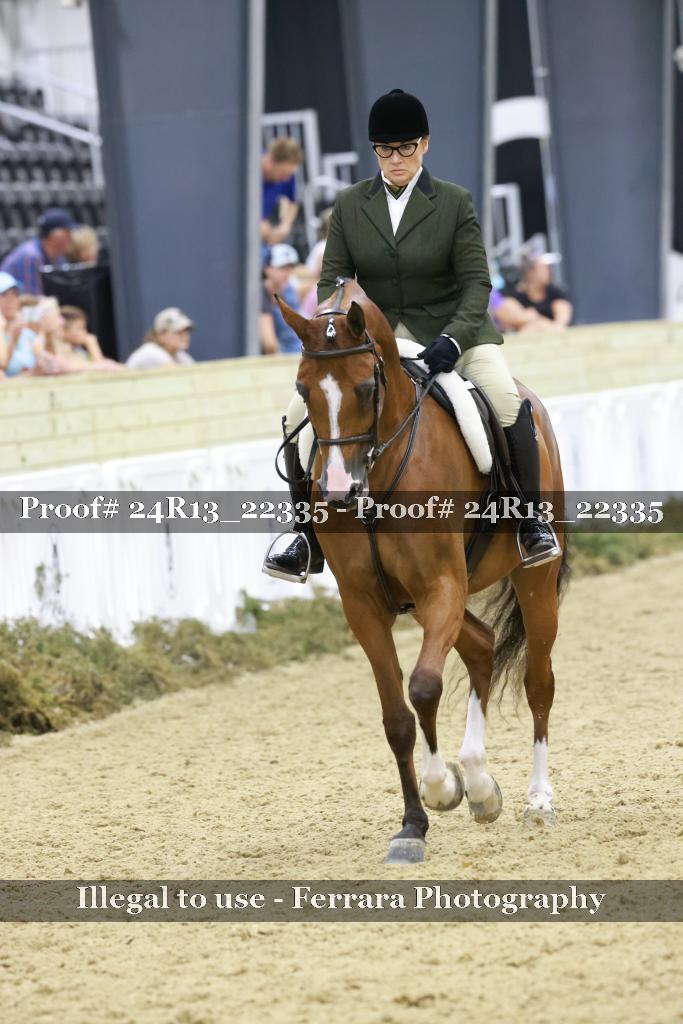 Proof 24R13_22335