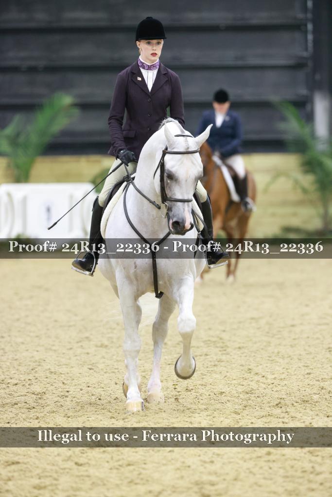 Proof 24R13_22336