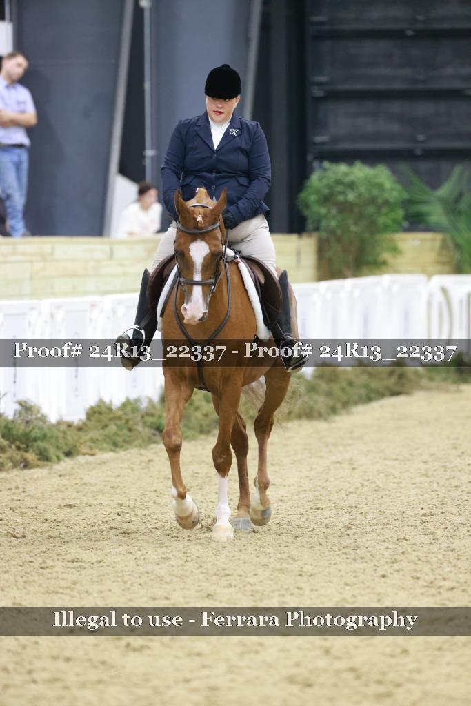 Proof 24R13_22337