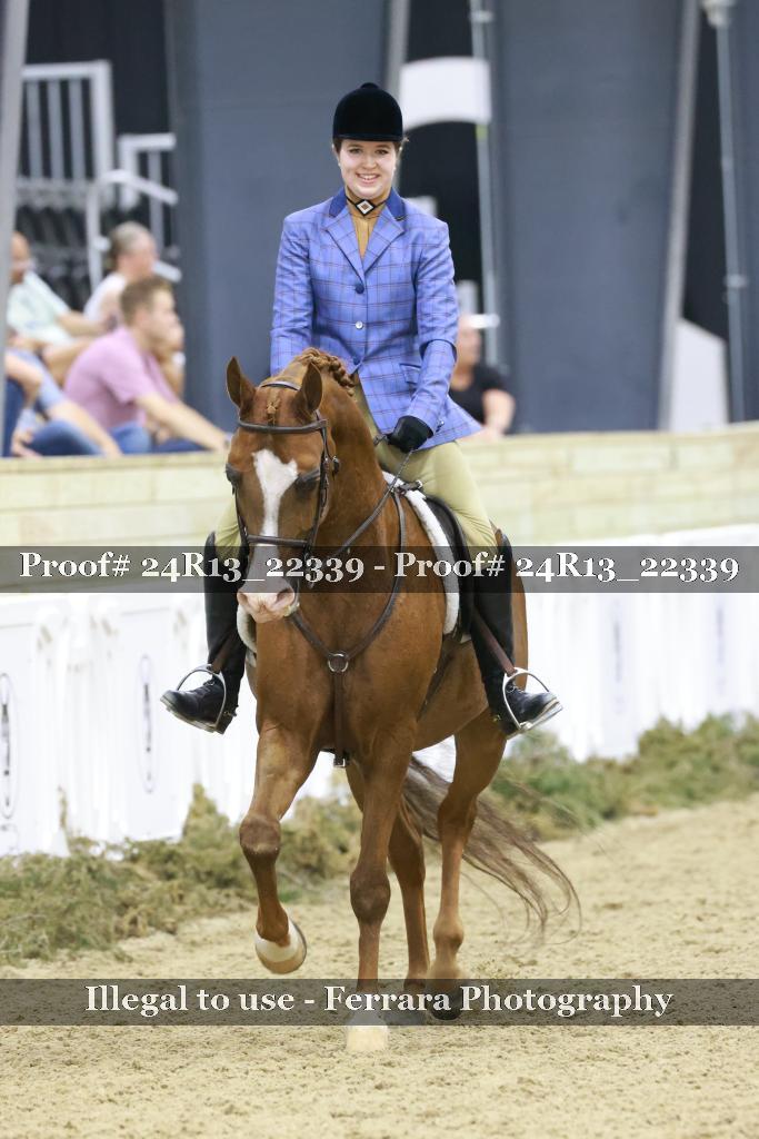 Proof 24R13_22339
