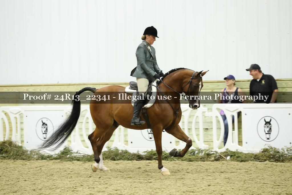 Proof 24R13_22341
