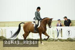 24R13_22341 proof