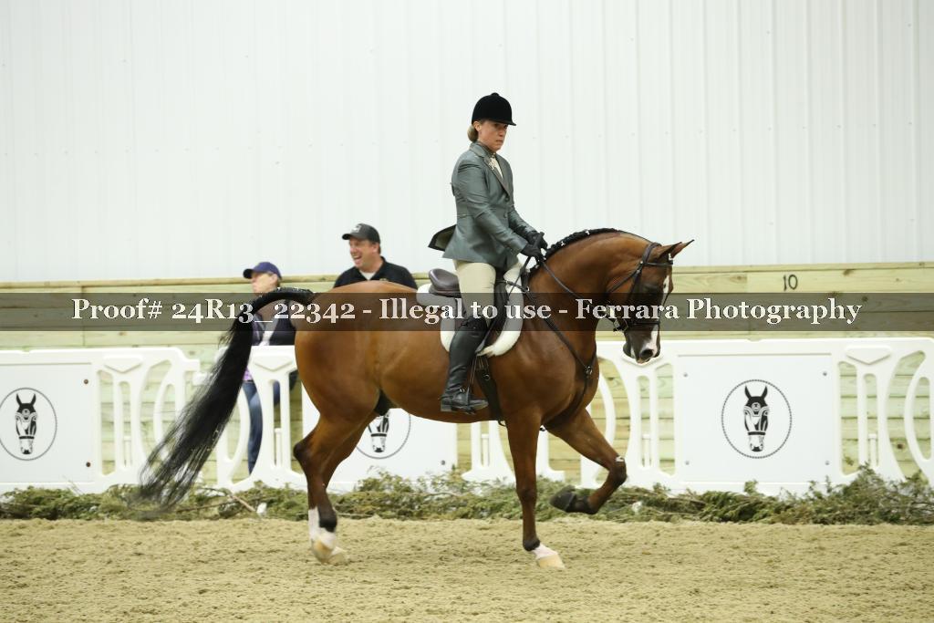 Proof 24R13_22342