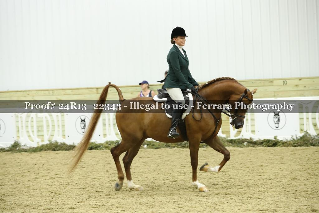 Proof 24R13_22343