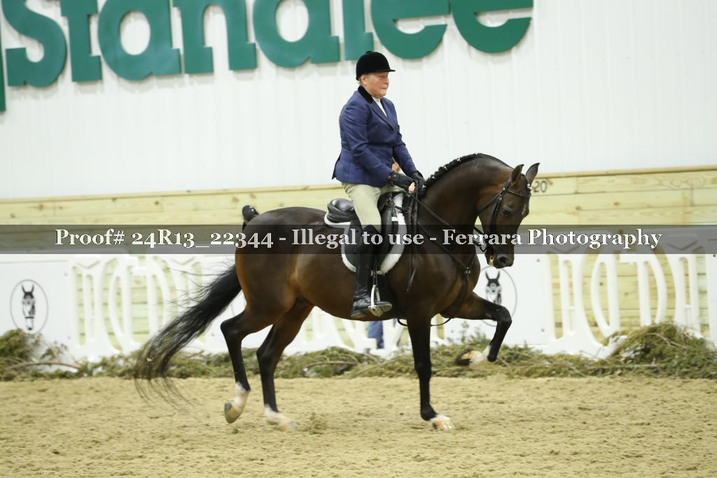 Proof 24R13_22344