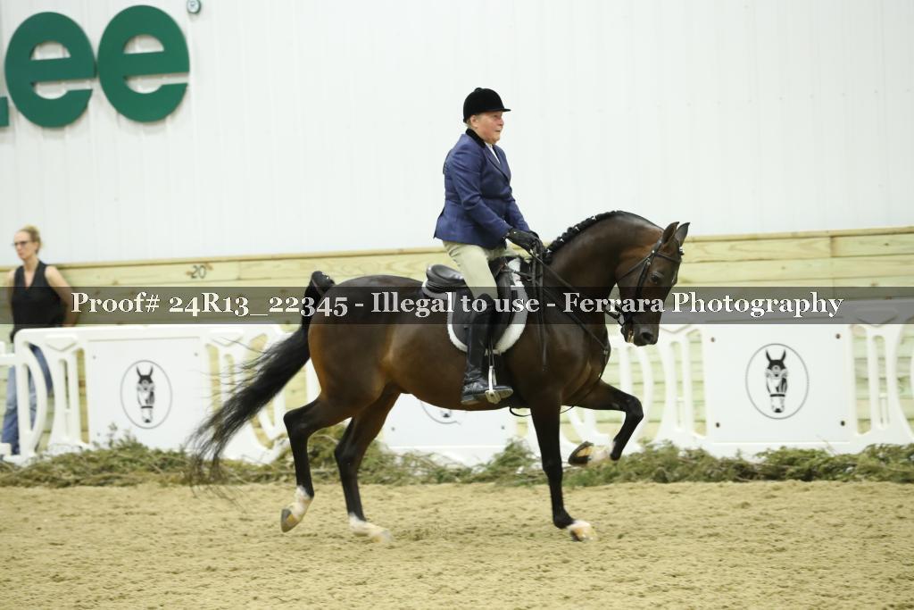Proof 24R13_22345