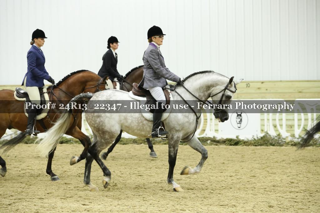Proof 24R13_22347