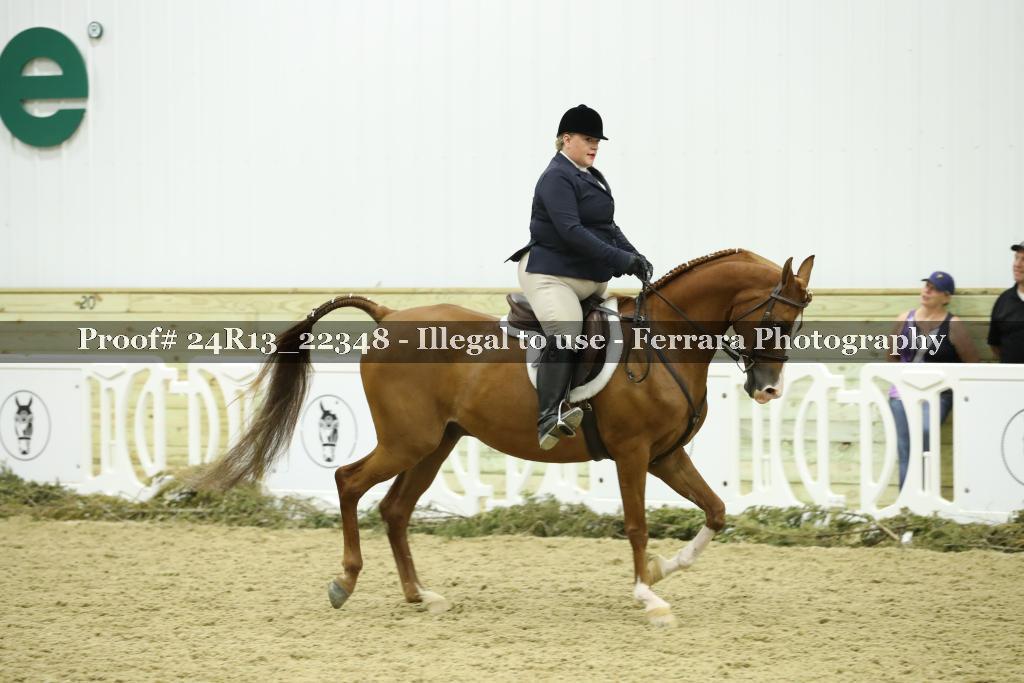 Proof 24R13_22348