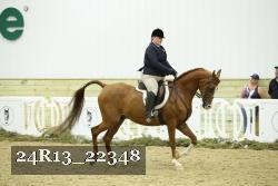 24R13_22348 proof