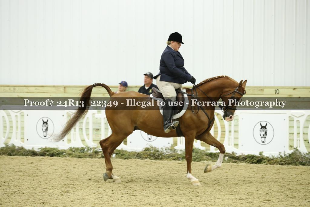 Proof 24R13_22349