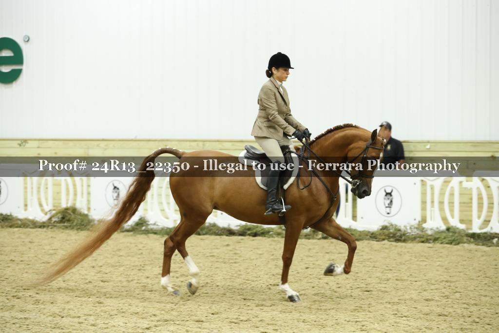 Proof 24R13_22350
