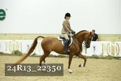 24R13_22350 proof