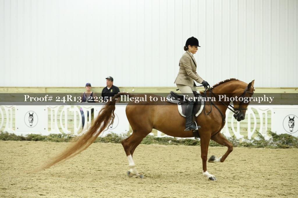 Proof 24R13_22351