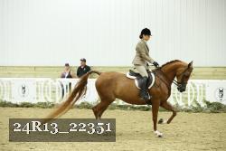 24R13_22351 proof
