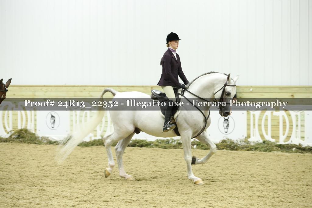 Proof 24R13_22352