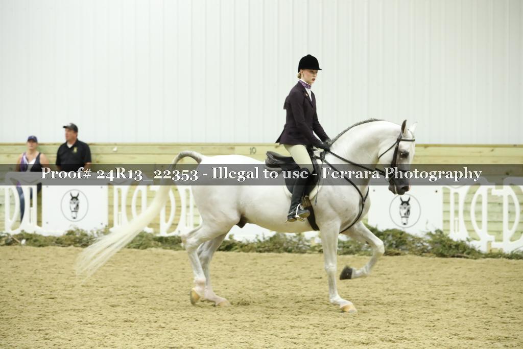 Proof 24R13_22353