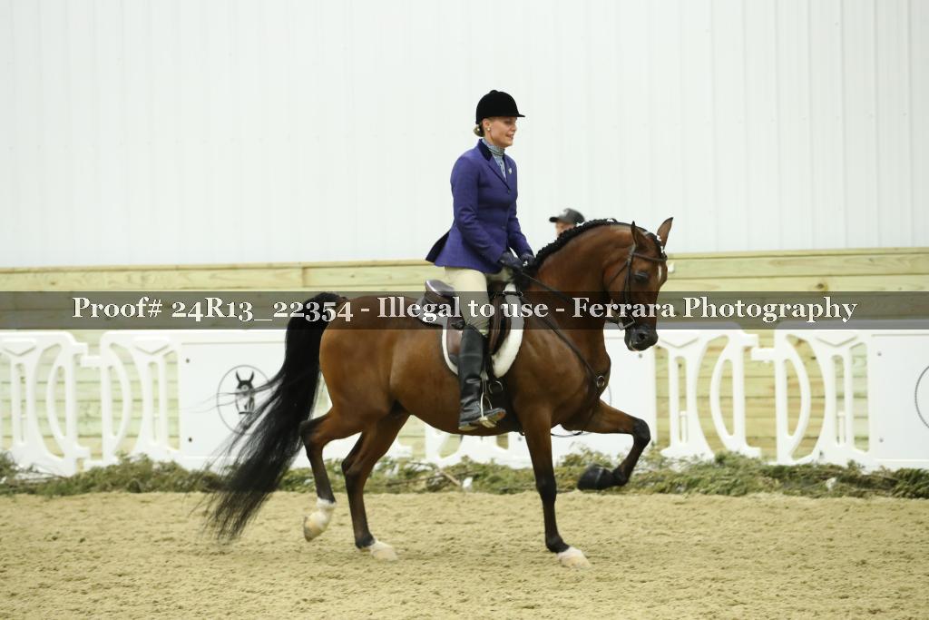 Proof 24R13_22354