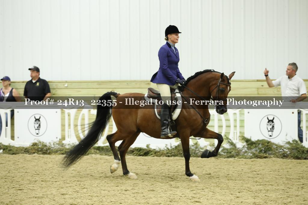 Proof 24R13_22355