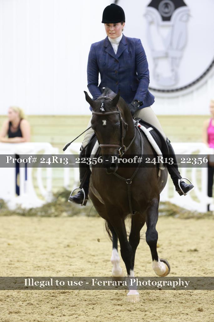 Proof 24R13_22356