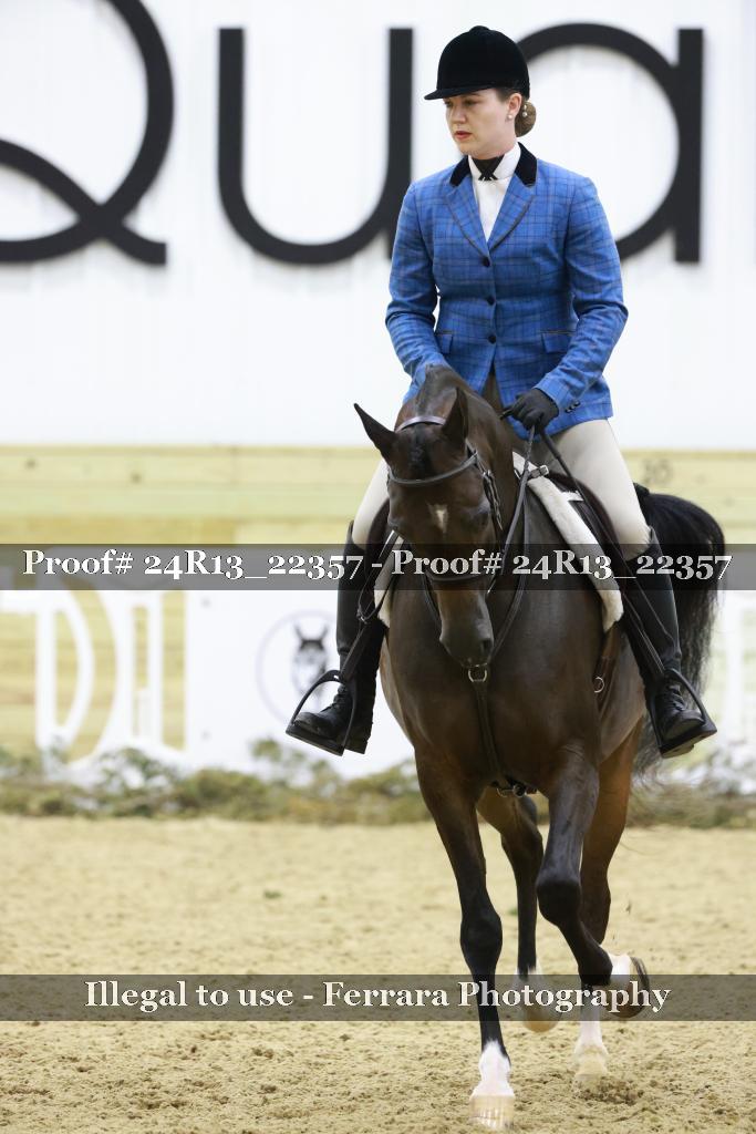 Proof 24R13_22357