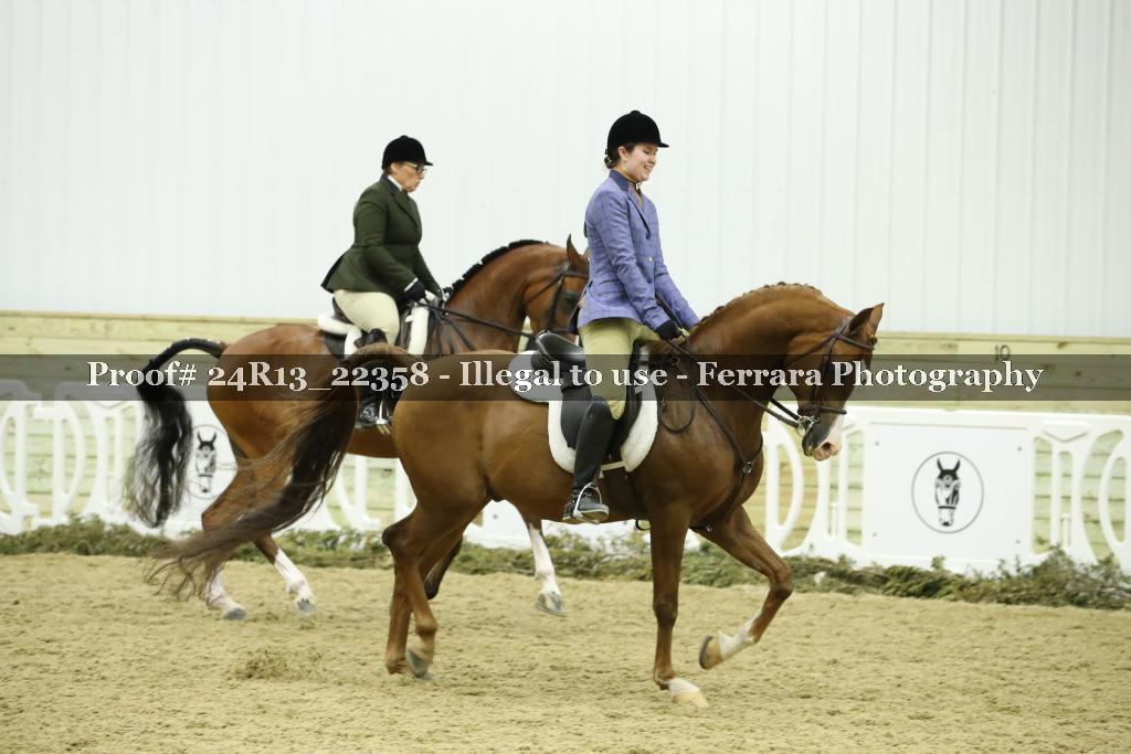 Proof 24R13_22358