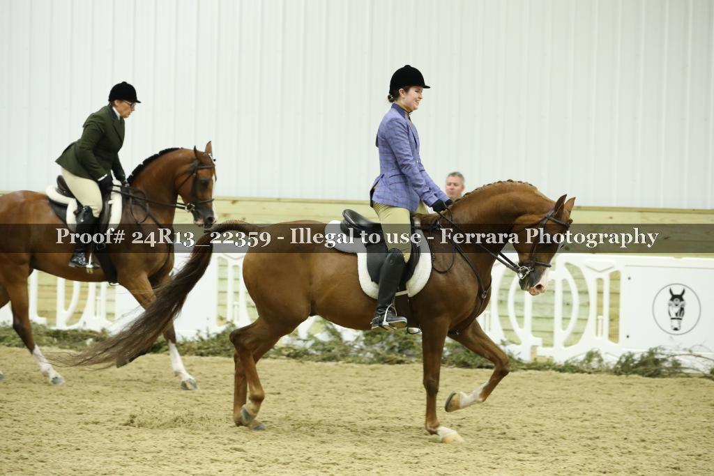 Proof 24R13_22359