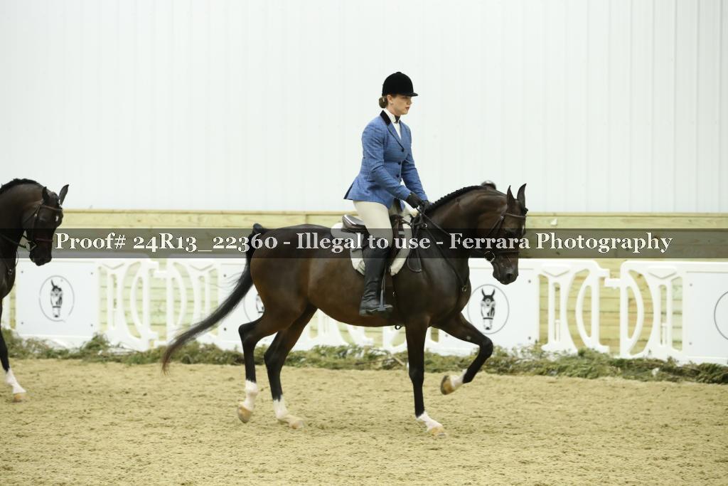 Proof 24R13_22360
