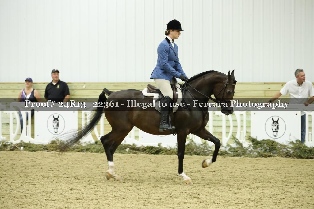 Proof 24R13_22361