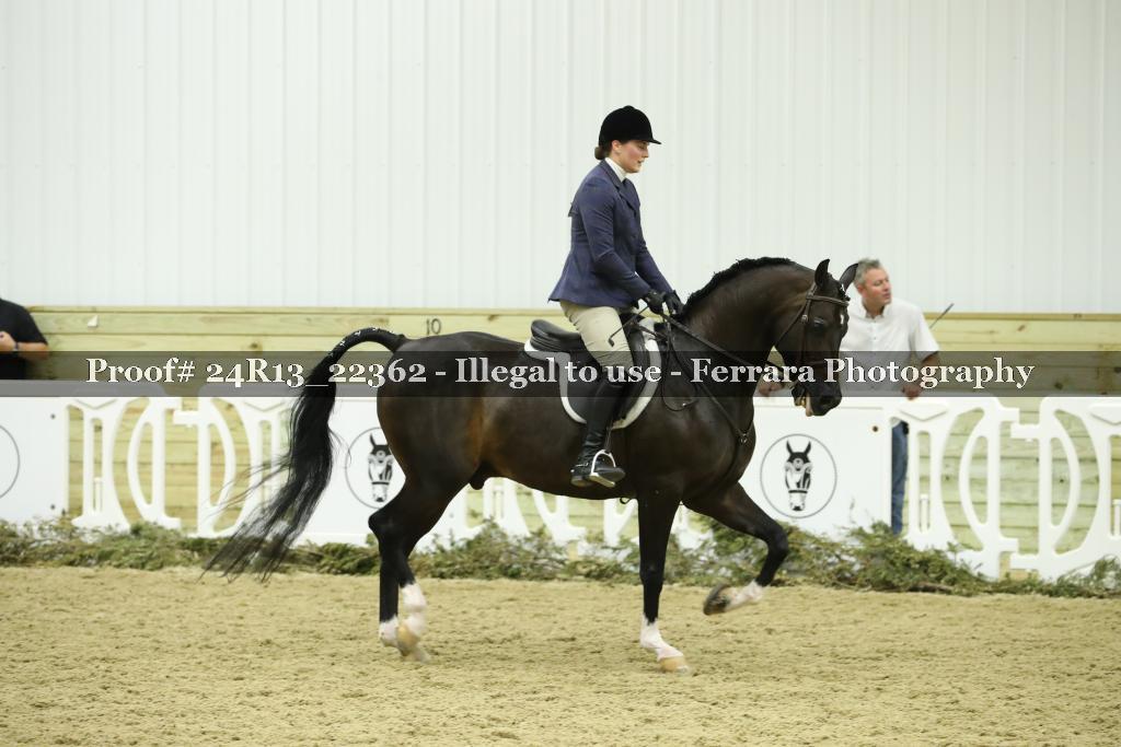 Proof 24R13_22362