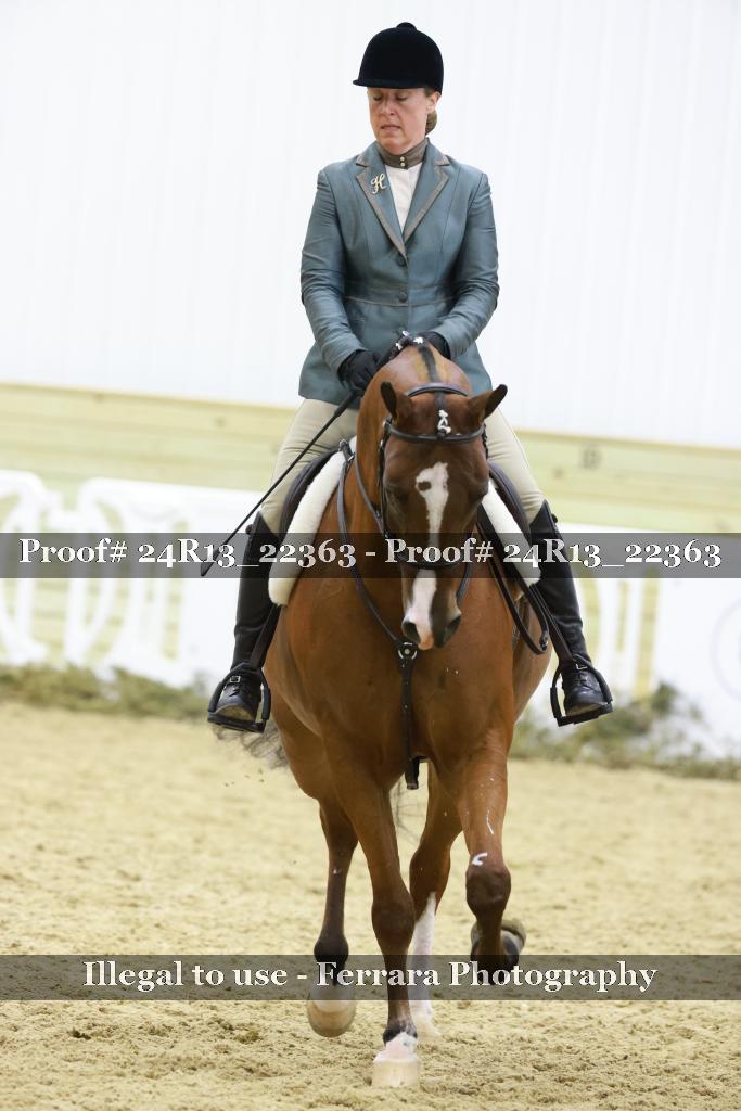Proof 24R13_22363