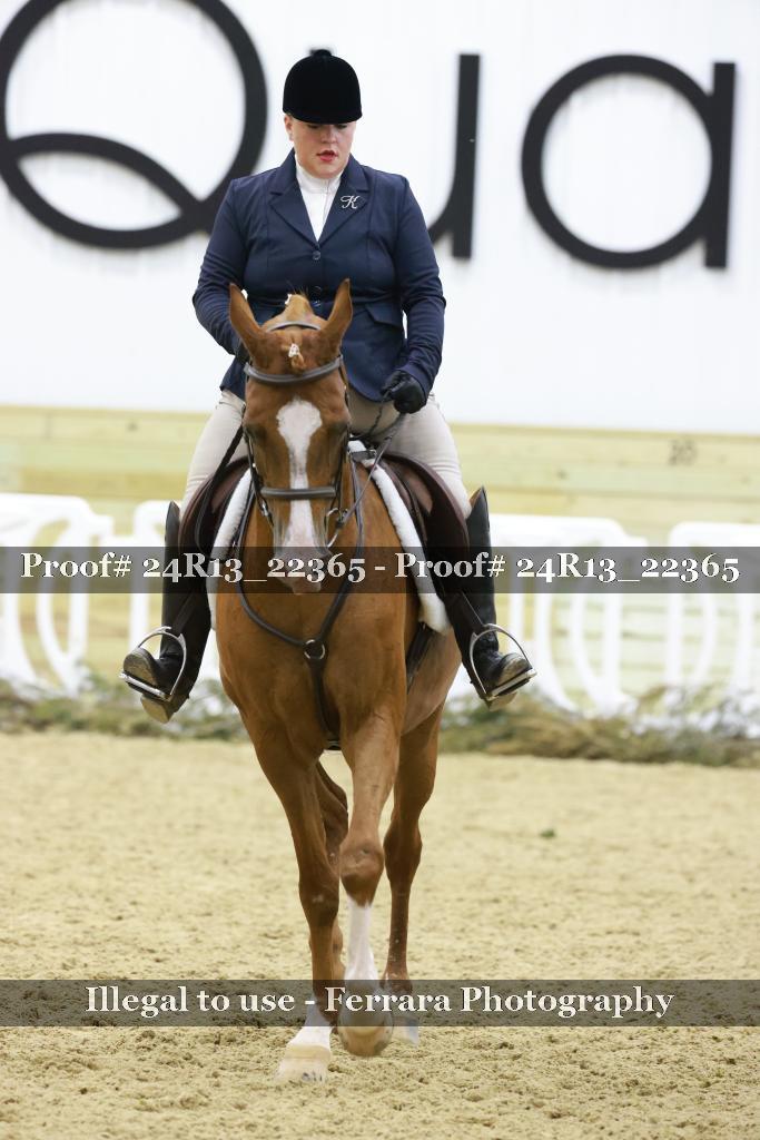 Proof 24R13_22365