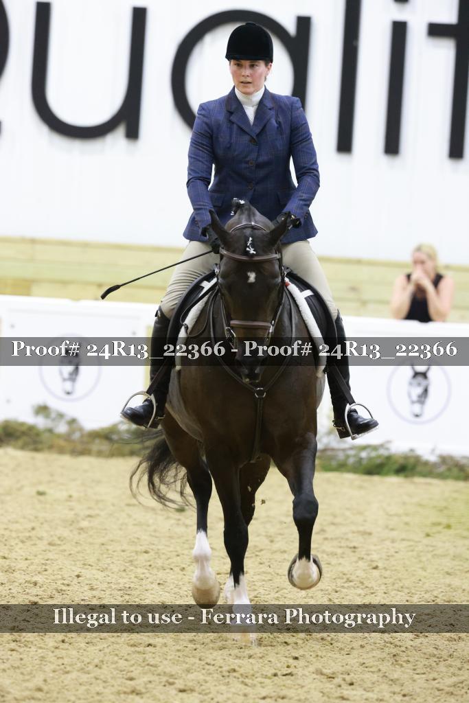 Proof 24R13_22366