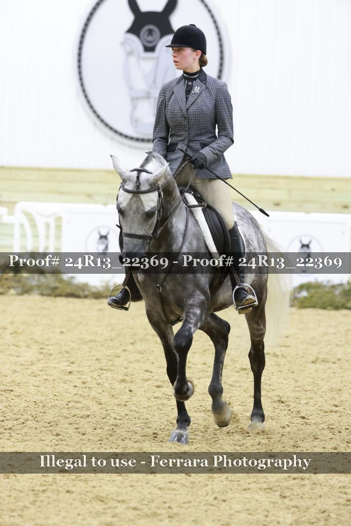 Proof 24R13_22369