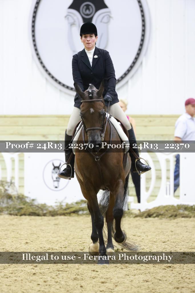 Proof 24R13_22370