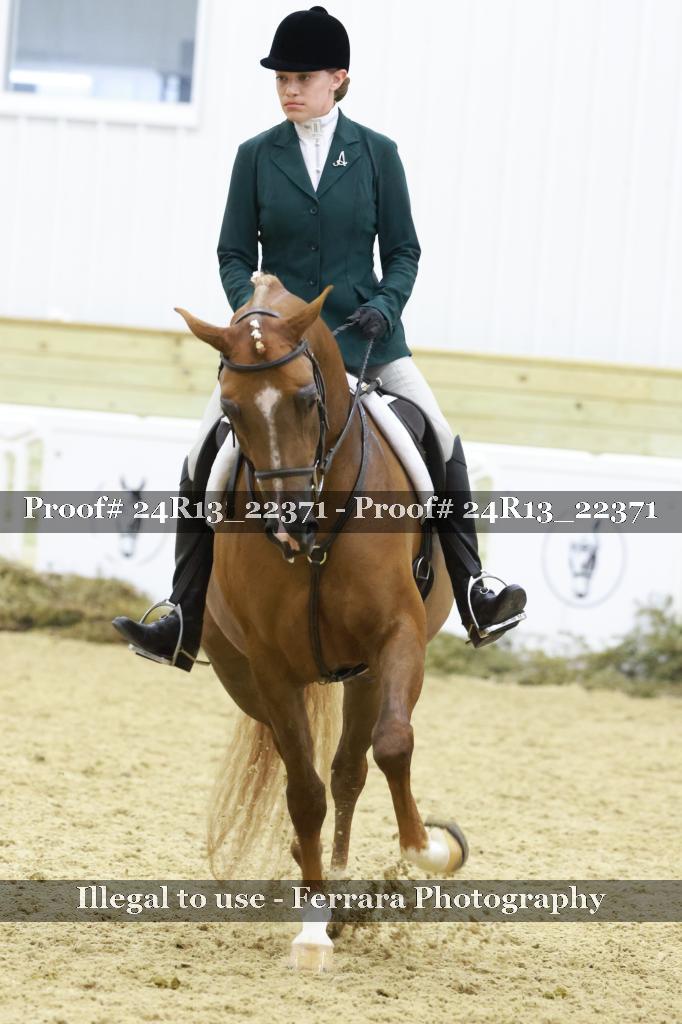 Proof 24R13_22371