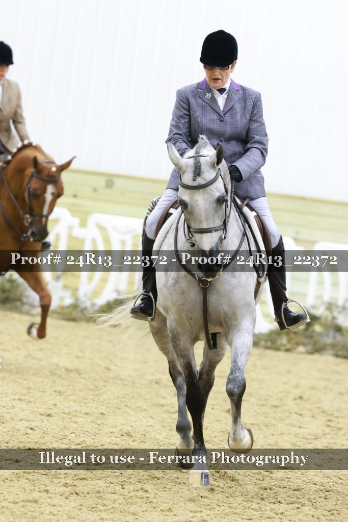 Proof 24R13_22372