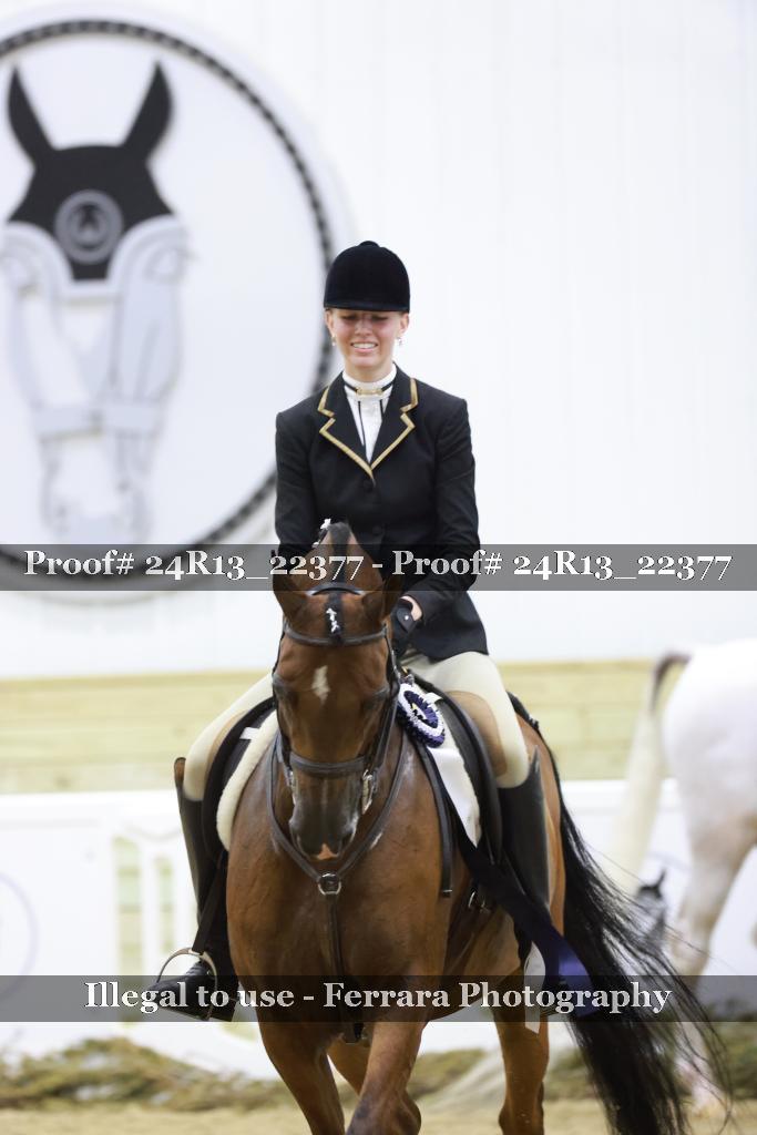 Proof 24R13_22377