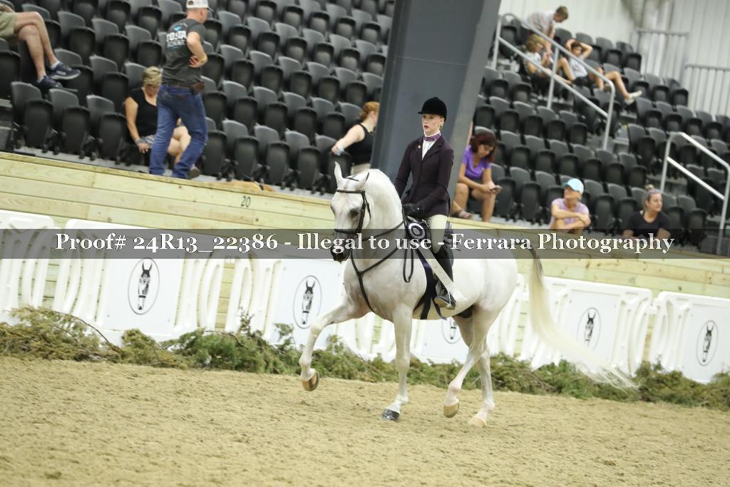 Proof 24R13_22386