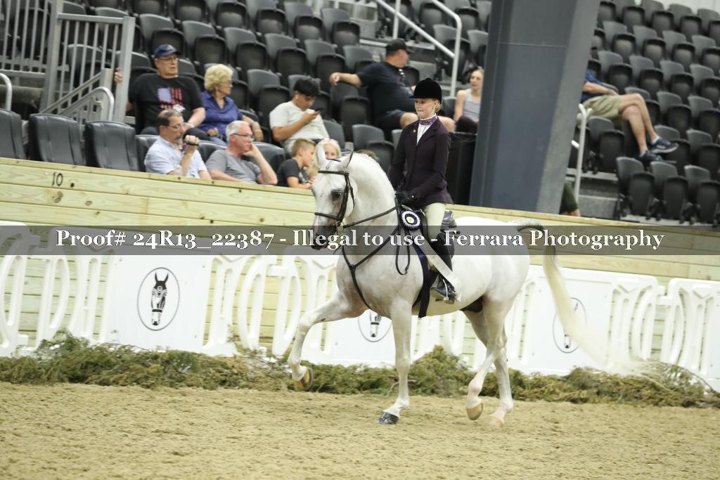 Proof 24R13_22387