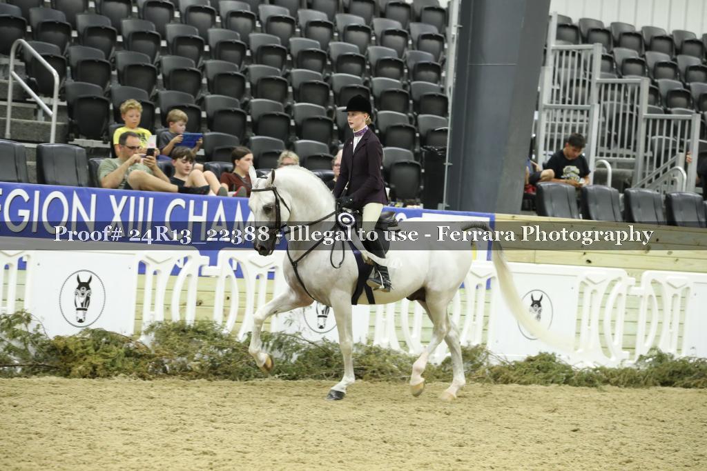 Proof 24R13_22388