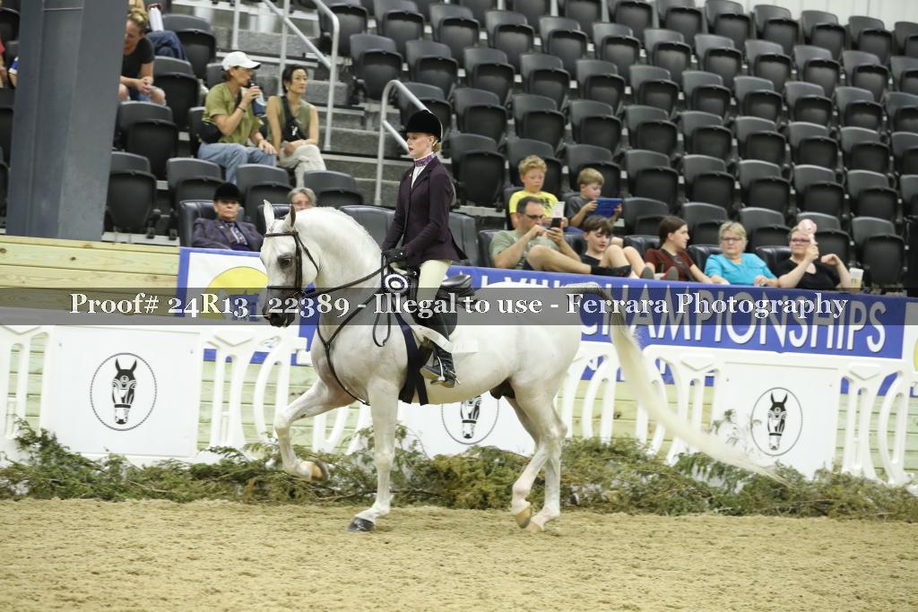Proof 24R13_22389