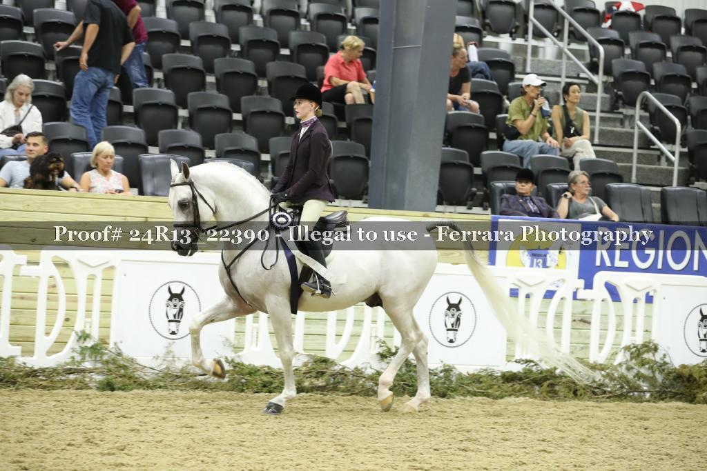 Proof 24R13_22390