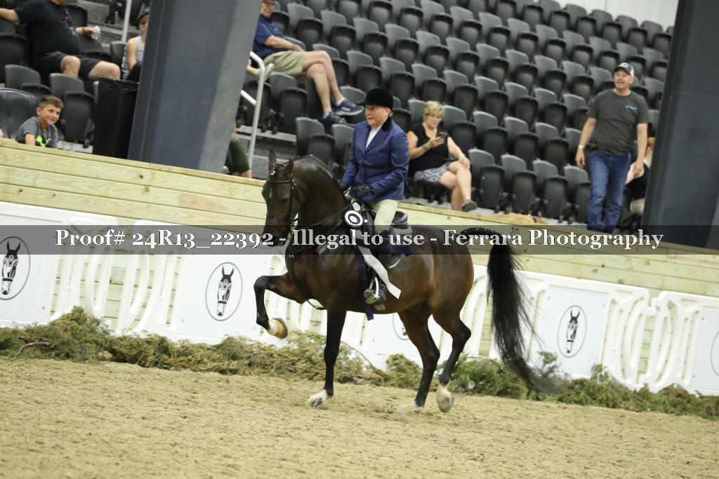 Proof 24R13_22392