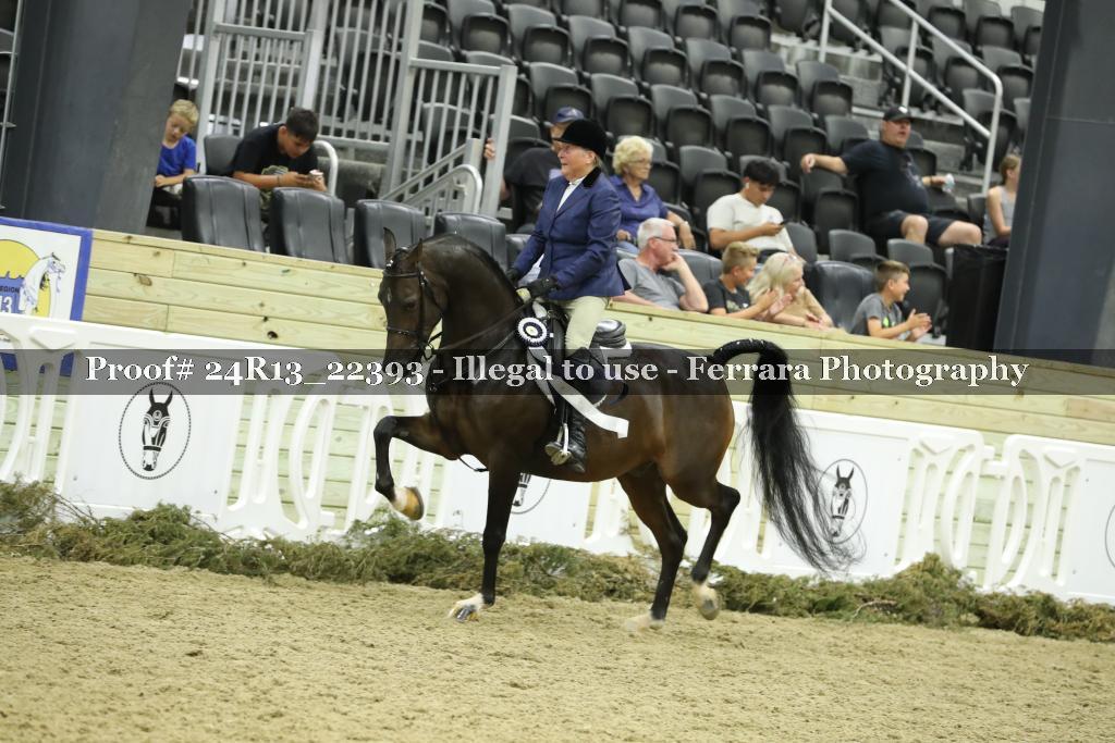 Proof 24R13_22393