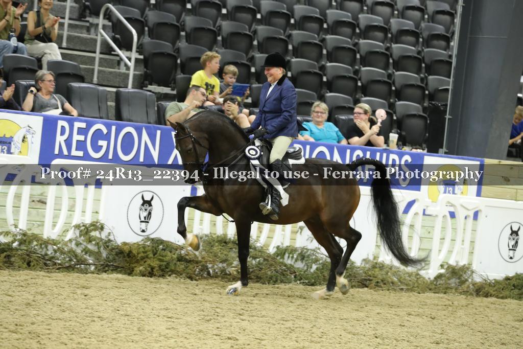 Proof 24R13_22394