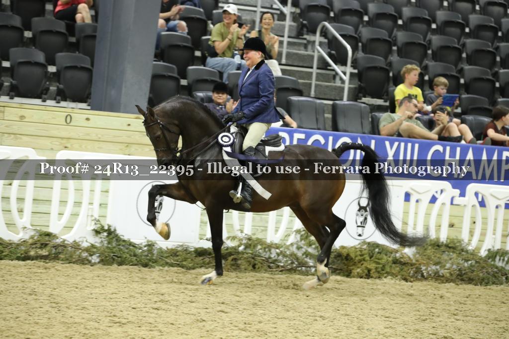 Proof 24R13_22395
