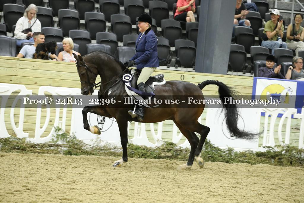 Proof 24R13_22396
