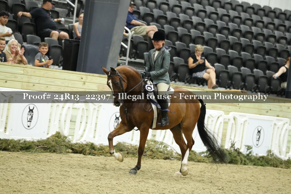 Proof 24R13_22397