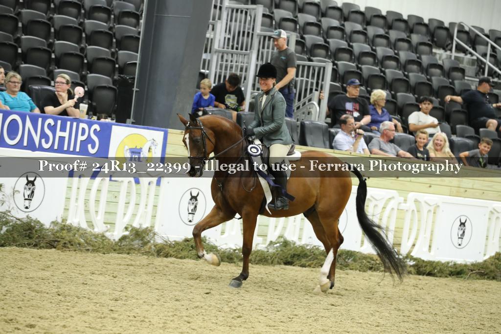 Proof 24R13_22399